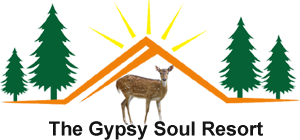 gypsy soul logo