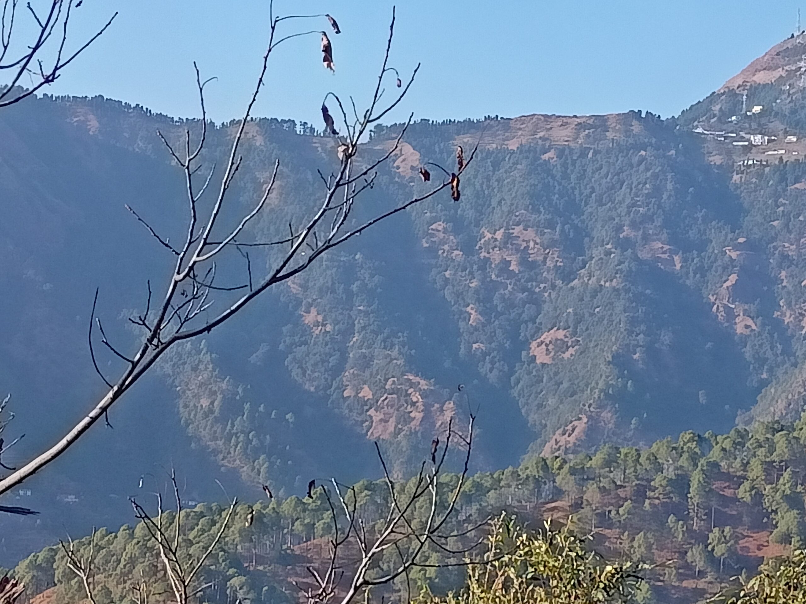 Dhanaulti Hotels and Resorts