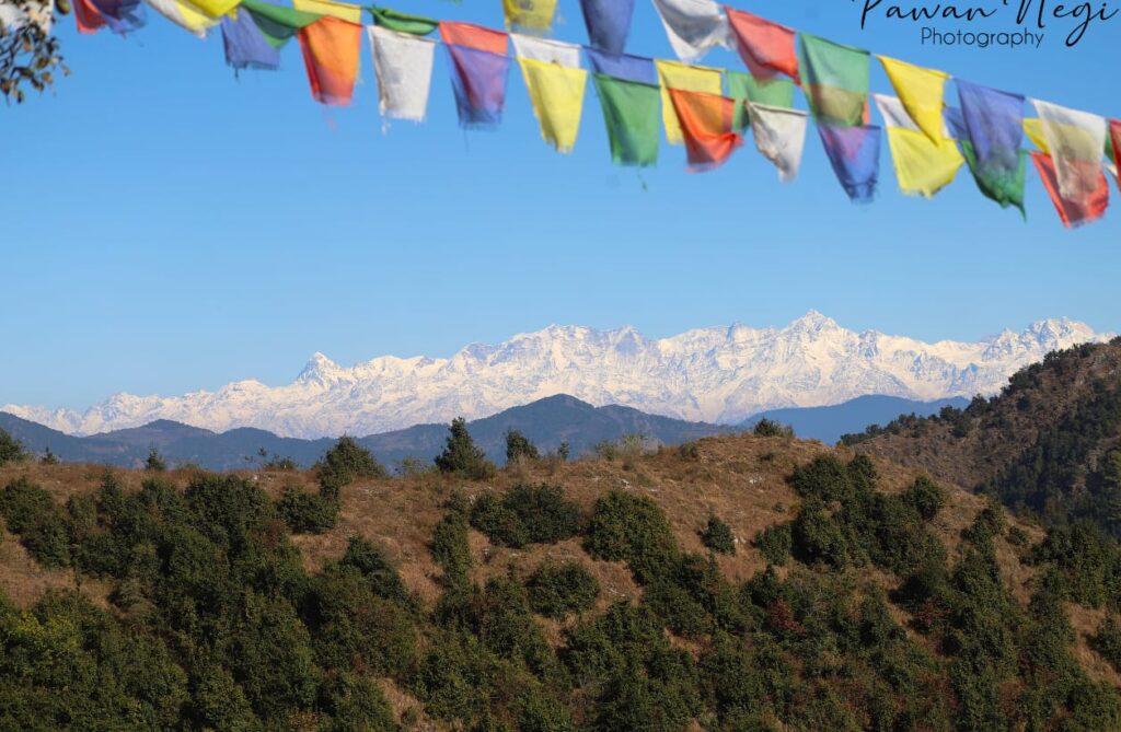 dhanaulti hotels and resorts