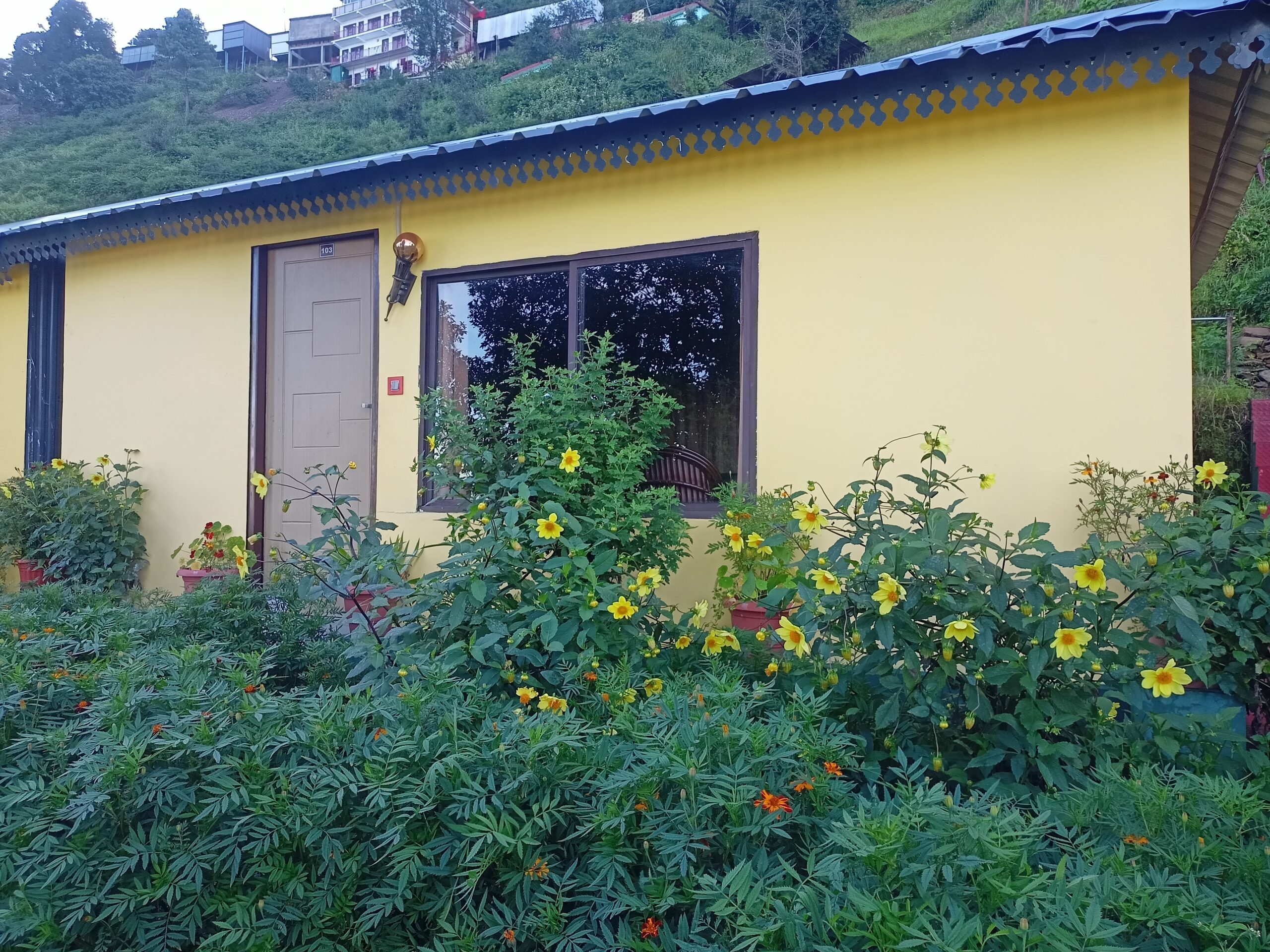 cottages with flowers