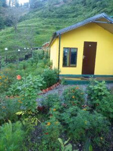 Jungle Resort in Mussoorie